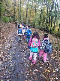 3f1ccb76-7dff-4811-b907-c9359c6c15df