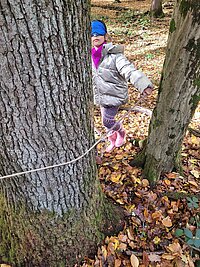 209ab470-6df8-407e-8d5f-315b325fd602